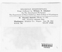 Image Associated With the Occurence